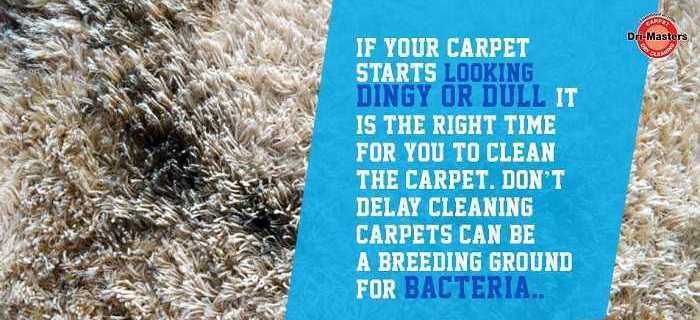 DIY Carpet Cleaning Tips to Get Rid of Stains and Odors