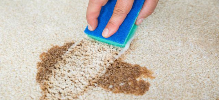The Ultimate Guide of Carpet Cleaning Myths and Truths