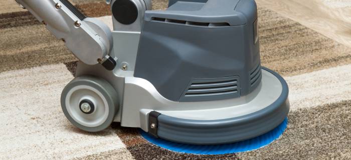 7 Pointers to Keep in Mind Before the Carpet Cleaning Professionals Arrive!