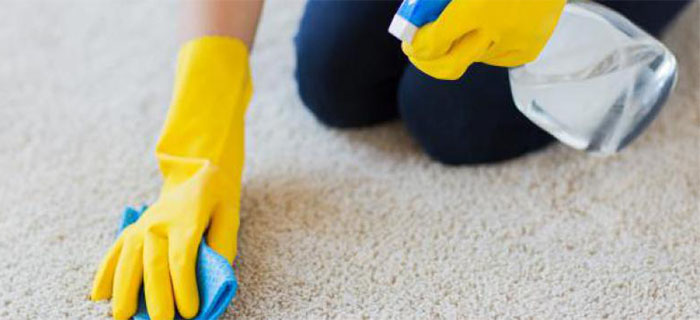 Tricks about Carpet Cleaning you Wish You Knew Before