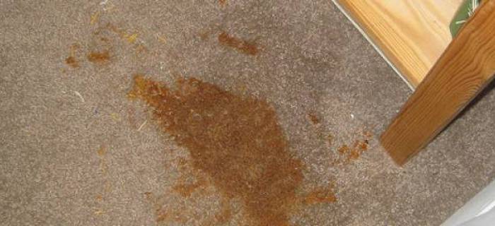 7 Alarming Diseases Caused By Unclean Carpets
