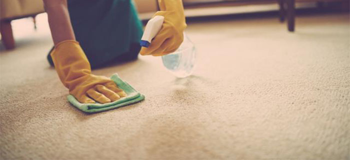 5 Methods to Clean Carpets in an Eco-Friendly Way