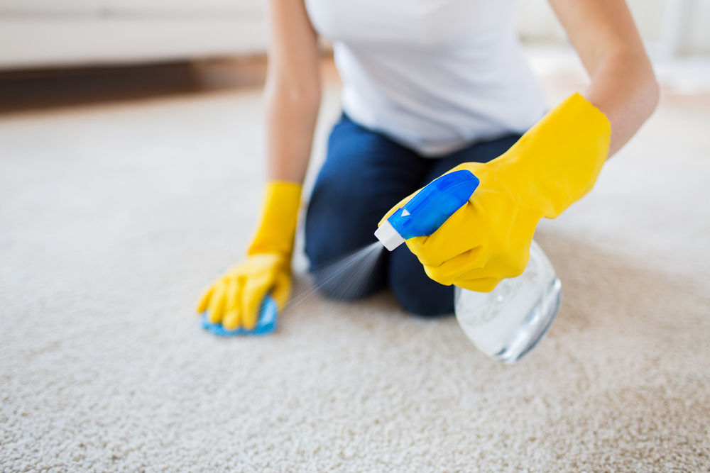 Is it worth getting my carpets cleaned by a professional?