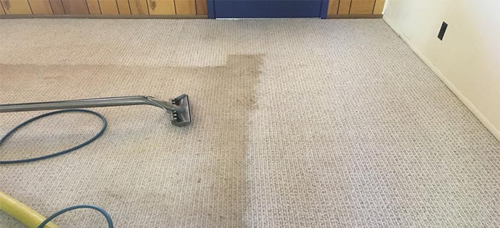 What to Ask Before Hiring a Carpet Cleaning Service?
