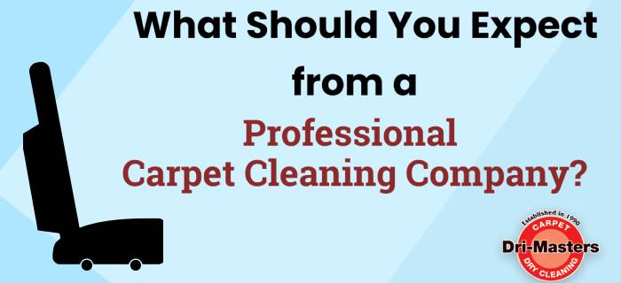 What Should You Expect from a Professional Carpet Cleaning Company?