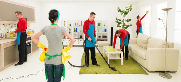 How to Get Exact & Professional Carpet Cleaning Estimates?