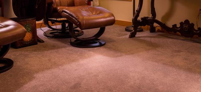 How to Spot & Terminate Mold from Your Carpet!