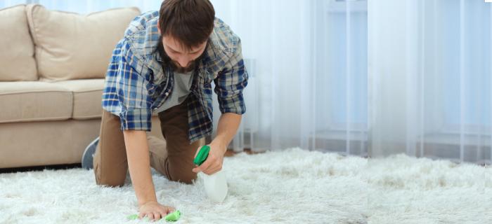 4 Expert Home Carpet Cleaning Tips You May Need This Summer
