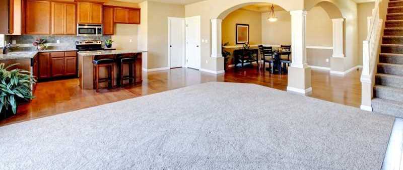 Understanding Carpet Cleaning for Better Cleaning!